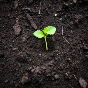 ��� ������� ��������� ����� ��� ������ ����: ������� ��������� ��������������