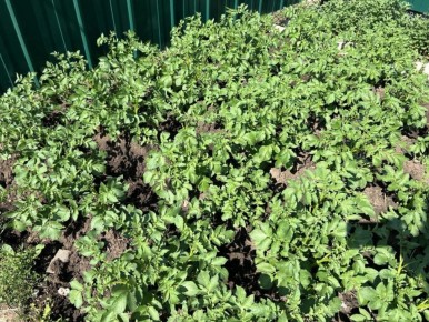 ��� �������� ����� ������ ��� ������: ������� ����� ���������