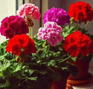 ������: ��� �������� ������� �������� � ������� ���������