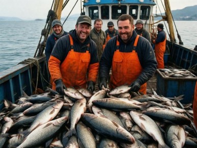 ������ ��������� ������� ���� � �����������: ������ � ���������