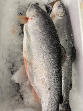 �������� ����� ������ ������!