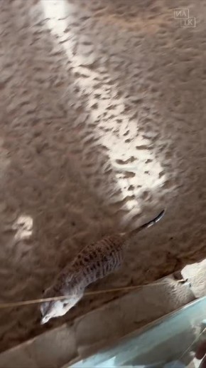 �������� ��� ����� �� ������!