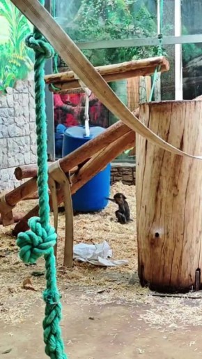 �� �������� ��������� ����� ������� ������