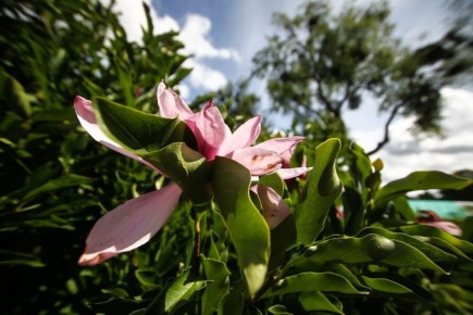 ��������� ������� � �������������� ������� �� ����� ������ ���