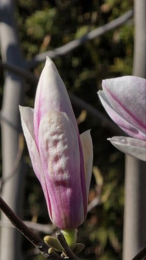 ������� ��������� ������� ������, ��� ���������� ���������