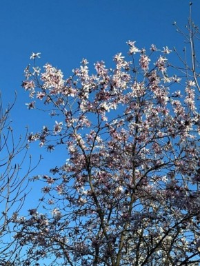 � ������������ ���� ��� ������� ����� �������� � ������ �������