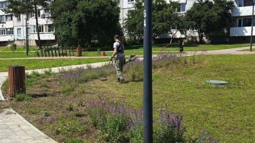 ������ ������������ �������� ���������� �������� �� 124 ���