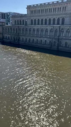 ������������� � ������ ������������