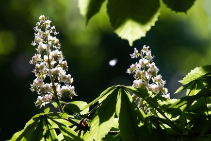 ���������� �� ���� � ������ ������� ��-�� �������� ������� �� ������� ����� �������� ���� ������������ � ��������