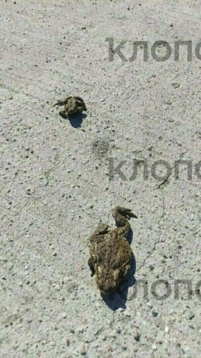 �� �������� ���� �������� ��������� ���, ������������ ����������� � �������� �����