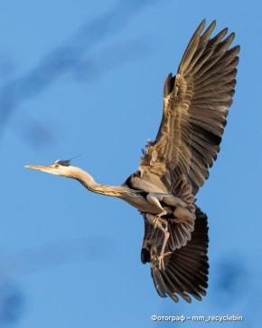 ����� �����! ���������� � �������, ����� ������� ��� �����