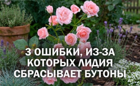 ��� �����-���� ����� ������������: ��� ������, � ������� ����� �����