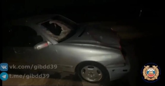 � ��������� ������ ������������ ���������� ��������� ���� ����� ������ �������� � ���