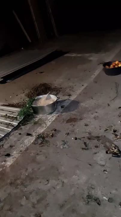 ������, ��� ���� � ������ � ������� ��������
