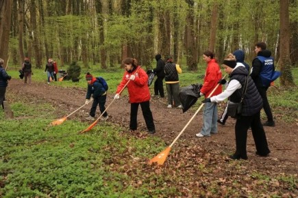 ������� � ������������ � ������ �������������� ���������� ������ ������� �� 11 �����������: ��������� �������� ������� ����� ��������� �������� ���� ������ � ���� �����, ����� ��������, ������ ���� �� ����� ���������, �����...