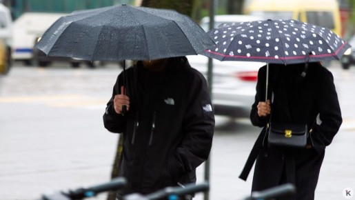 �����������, �������� �����: ������ � ������������ � ������� �� �������, 28 ������