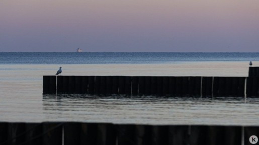 � ���������� � ������� ��������� ����� ����� ������