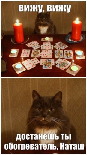 �������������� ������������ � ������� ���������� � ���� �� �����