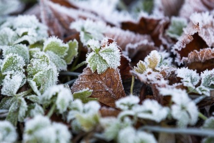 � ������ � ��������������� ������� ���������� �� �1 ��