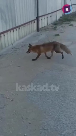 �� ������ ����� � ������������� �������� �������� ������