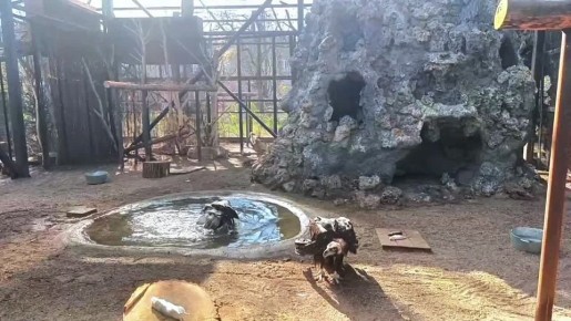 ����� � ����� �� �������. ��� �������� � ��������, ������ ���� � ����� ������