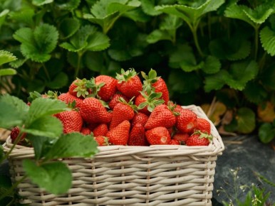 ��������: ������ ���� ��� �������� ������