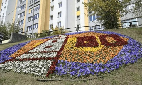 ����������� �������� ���������� � 80-����� �������