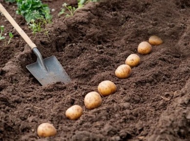 ��� �������� ������������ ������ ����� �����: ������� �������� ���������