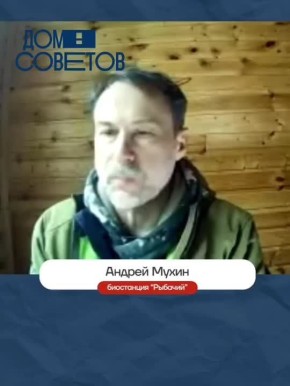 ������ ���: ���� ����� ������� ������� �� ��� �����