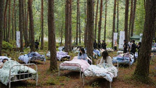 � ������ �������� ������������ �� ��� �� ������ �������