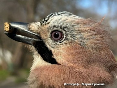 ����� ����!. ��������-����� � ���������� ������� ��������� �������! ����� � ������ ���������� ��������������, ����� �������� �������� ����