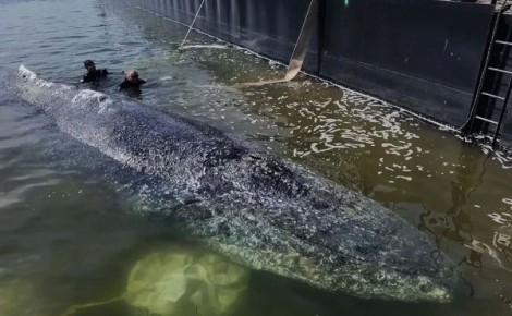 ������ ������� ����� ��� �������� ��������� ���� ����� ����� ������ ������� ����� �������� � ����, ��������� � ����� ����� ��� �������������� � ���������� ����� ������ ����� ������� �������