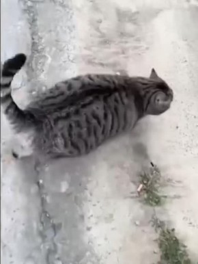 ��� �� � ���� ����� ������� �������� � ������� �������� �������� ������� �� ������