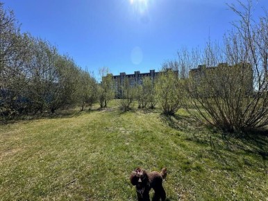 ������ ������������ ������� ����� ����� �������