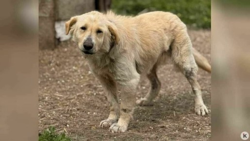 ������ ����, ������� � ��������������� ������ �������, �������� ��������� ������� ��������