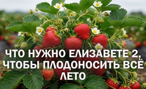 ��� ��������� �������� ��������� 2 ����������� ������ �� �����