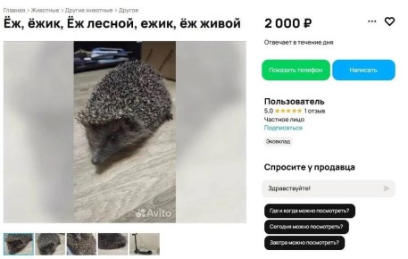 � ������������ �� ����� � ������������ ��������� ��������� �����������
