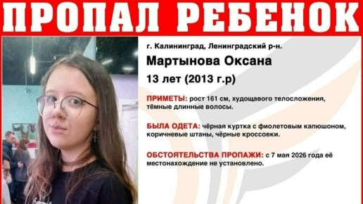 � ������������ ���� 13-������ ��������� � ������ ������ � ���������� ���������