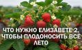 ��� ��������� �������� ��������� 2 ����������� ������ �� �����