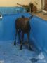 � ������������ ���������� ��� ������� ������, ������� ���� � ������ �������