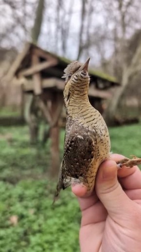 ������� ��� ��� ���� � ���� � ��� �� ����� ������