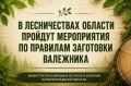 � ������������ ������� ������� ����������� �� �������� ��������� ���������