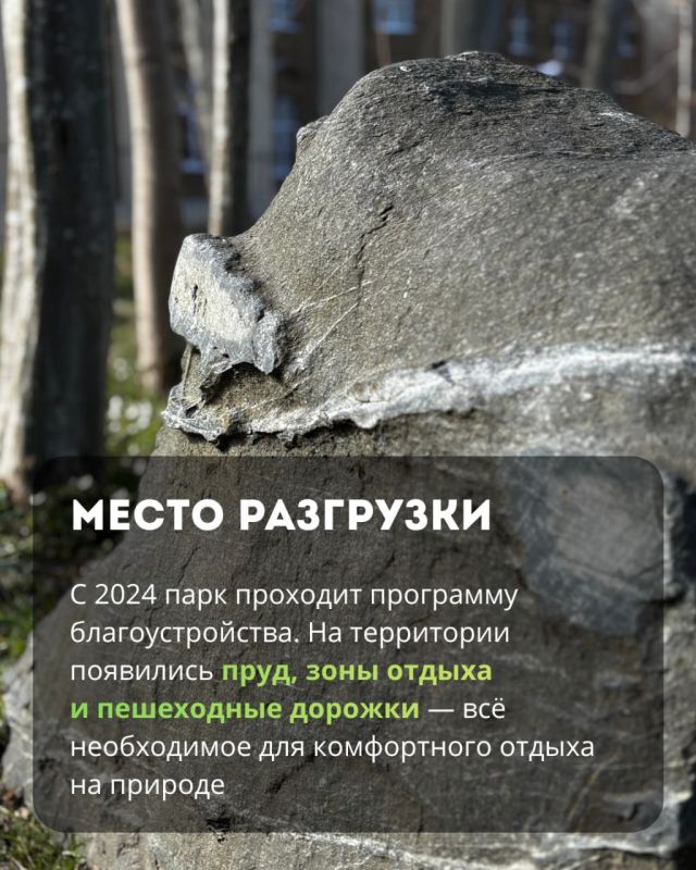 В парке «Сосновка» можно увидеть редкие виды вековых растений, руины старинной усадьбы и прогуляться в тишине В парке «Сосновка» можно увидеть редкие виды вековых растений, руины старинной усадьбы и прогуляться в тишине