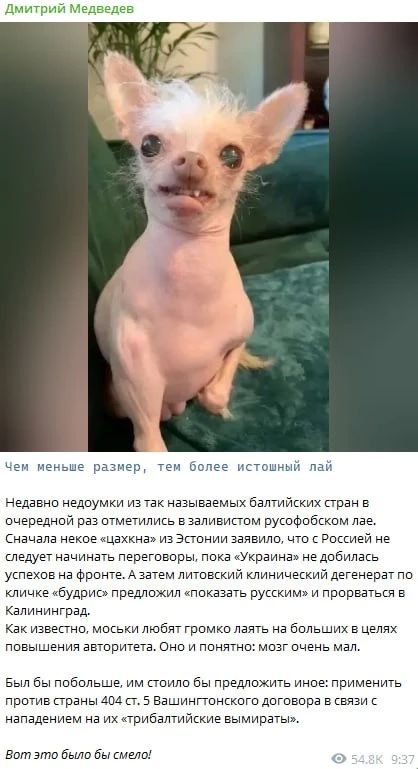 Зампред Совбеза РФ Медведев о предложении главы МИД Литвы Будриса напасть на Калининград: "Чем меньше размер, тем более истошный лай"