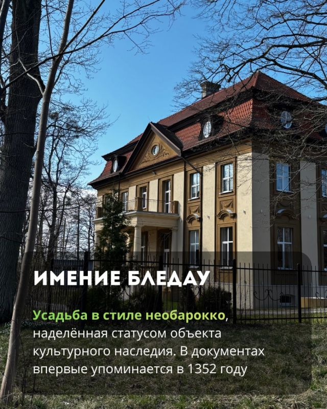 В парке «Сосновка» можно увидеть редкие виды вековых растений, руины старинной усадьбы и прогуляться в тишине В парке «Сосновка» можно увидеть редкие виды вековых растений, руины старинной усадьбы и прогуляться в тишине