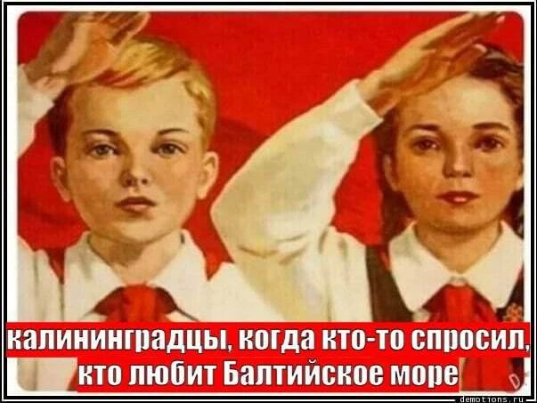 19 мая — День пионерии. Для Калининградской области праздник не просто родной: у нас ведь есть целый город Пионерский