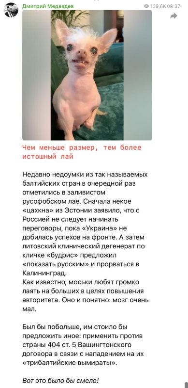 «Чем меньше размер, тем более истошный лай»: Медведев сравнил с моськой главу МИД Литвы, который призвал НАТО напасть на Калининград