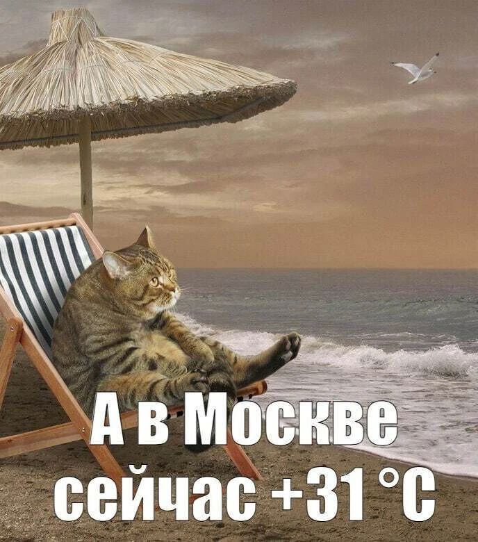 Май без погодных крайностей: до конца недели в Калининградской области сохранится спокойная и умеренно тёплая погода