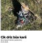 ����� ����� �����? �� ���������� ������� Pietek ������������� ������������� ������� ������� �� ������ ������