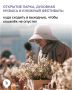 Выходные в Калининградской области обещают быть разнообразными, как никогда